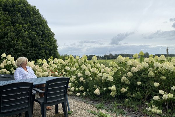 Foto Tuin en terras.jpg